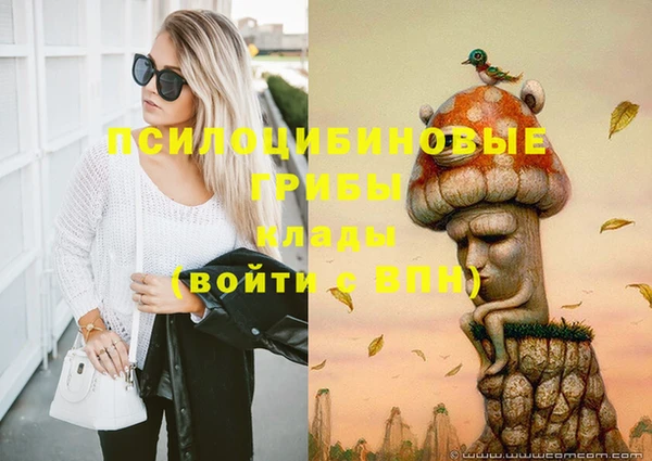 дживик Алексеевка