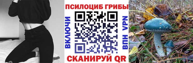 Галлюциногенные грибы Psilocybine cubensis  Шумерля 