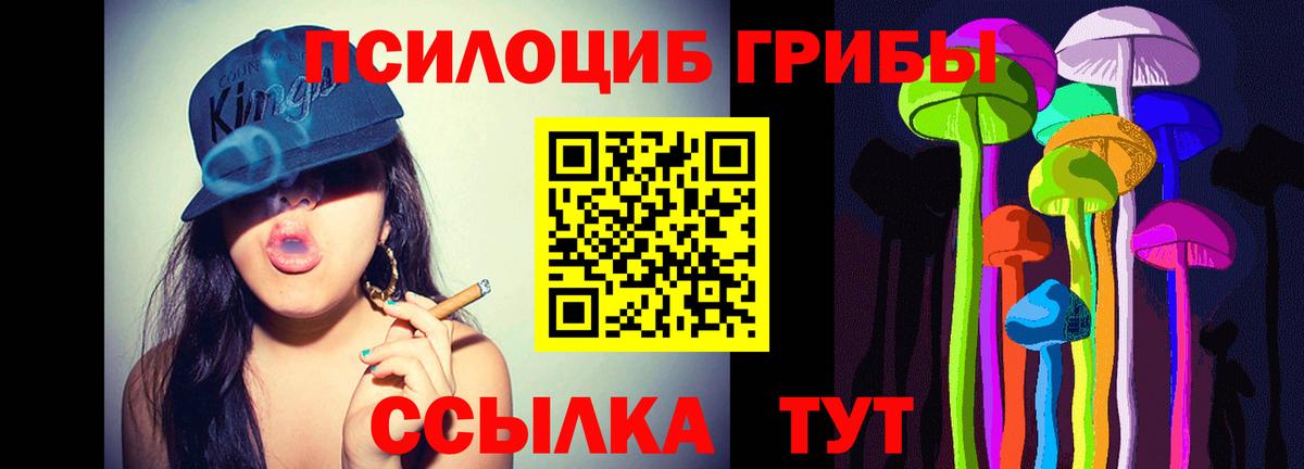 Шумерля  Псилоцибиновые грибы ЛСД  Вход с VPN  Галлюциногенные грибы GOLDEN TEACHER 